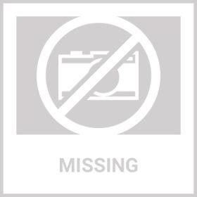 Duracell Batteries AA (2pk)